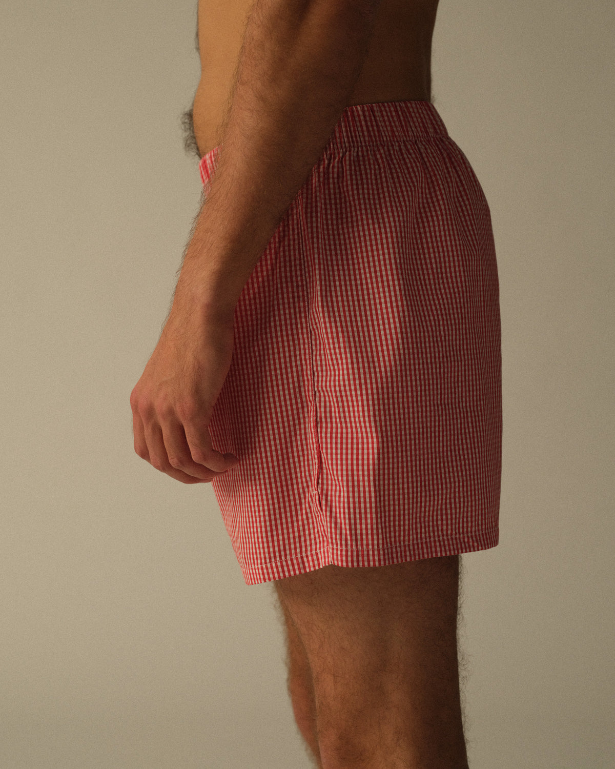 Picnic Check Boxers