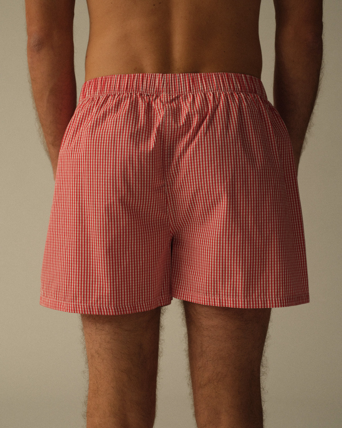 Picnic Check Boxers