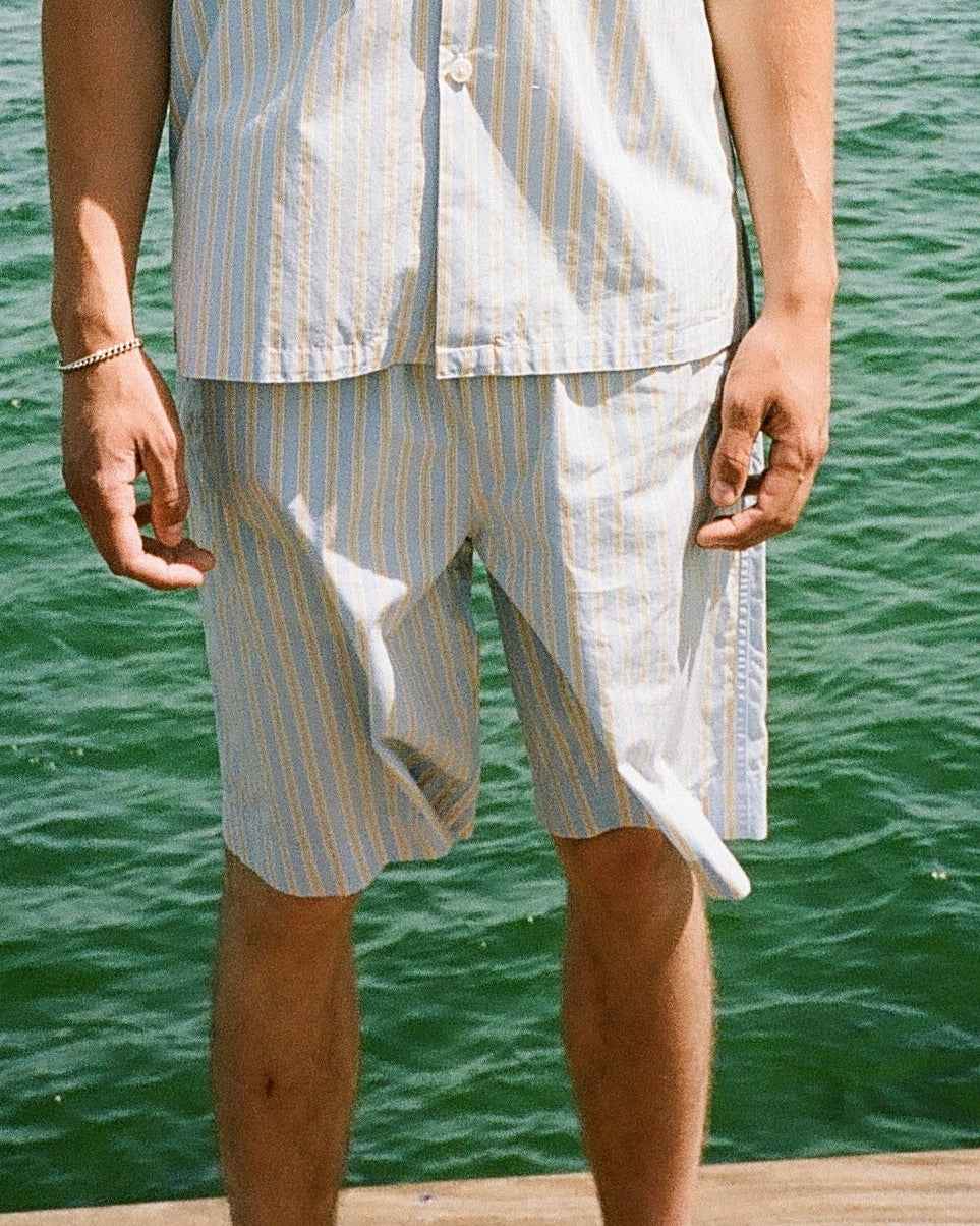 blue & yellow Bermuda shorts